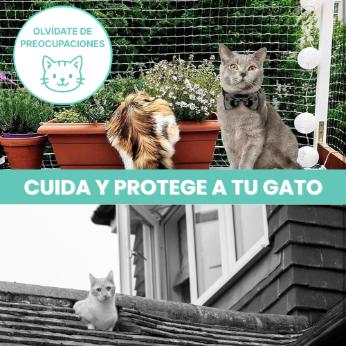 Brisingr® Red de Seguridad Invisible